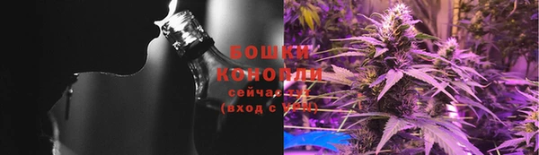 сатива Абинск