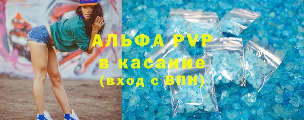 сатива Абинск